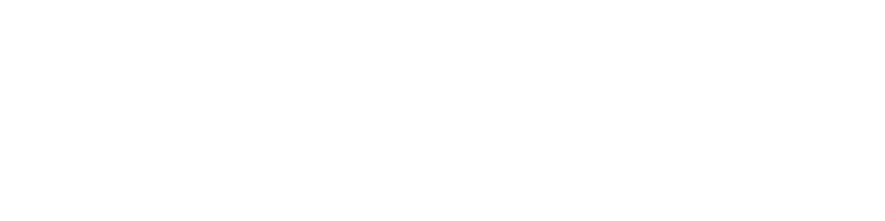 Logo Zummi